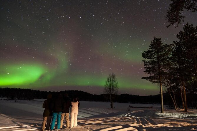 Lapland Reindeer Safari From Saariselkä - Key things to know before you go