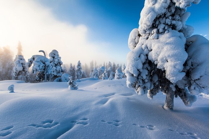 Lapland Snowmobile Safari from Levi - How 2 hours can turn into a satisfying winter ride