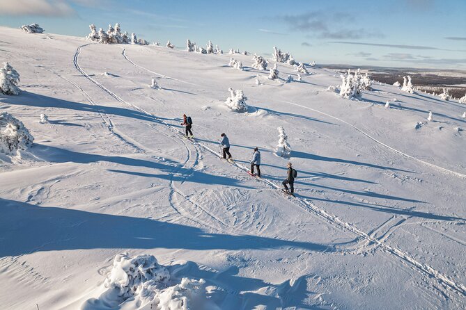 Lapland Wilderness Adventure – Explore Wild Arctic Trails - Key highlights at a glance