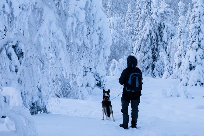 Lapland Wilderness Adventure – Explore Wild Arctic Trails - Price and logistics: the short-group format that keeps value honest