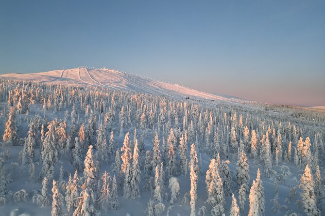 Lapland Wilderness Adventure – Explore Wild Arctic Trails - Snowshoes, warm snacks, and the optional hut break