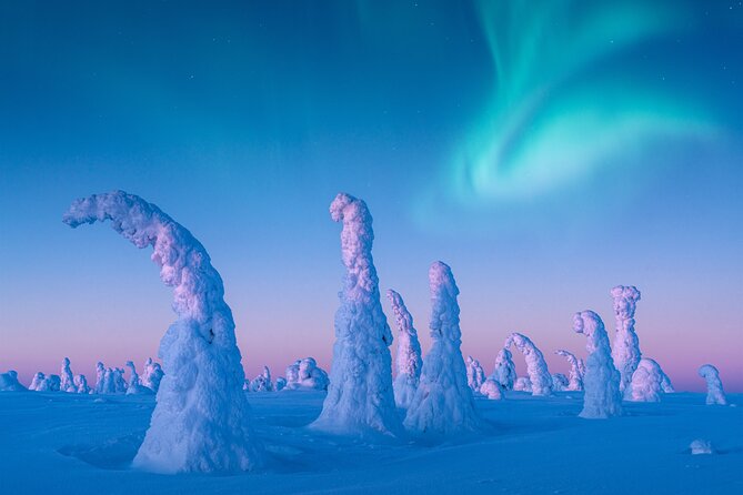 Lapland Wilderness Adventure – Explore Wild Arctic Trails - Getting started at K-Market Jounin Kauppa, then heading for the quiet