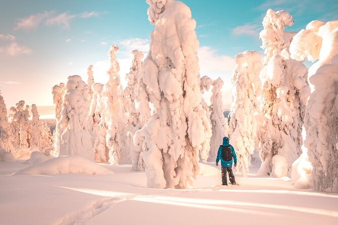 Lapland Winter Experience - Key highlights you will feel on the ground