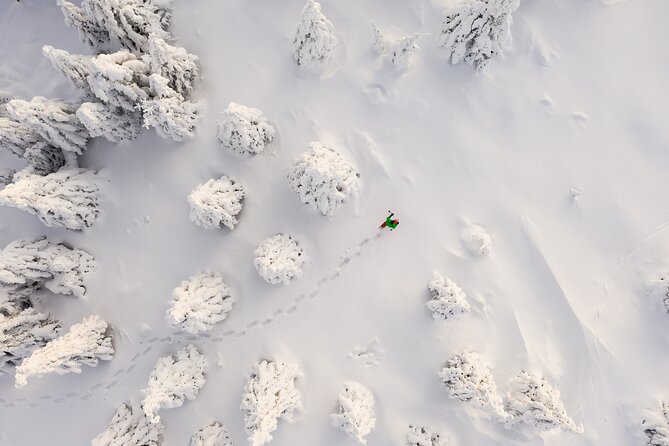 Lapland Winter Experience - Rovaniemi hotel pickup and meeting point: make winter logistics easy