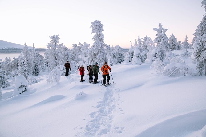 Lapland Winter Experience - The guides turn the walk into a real Arctic lesson