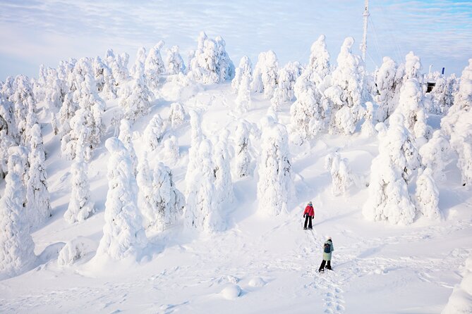 Lapland Winter Experience - Group size and the vibe: small enough, big enough