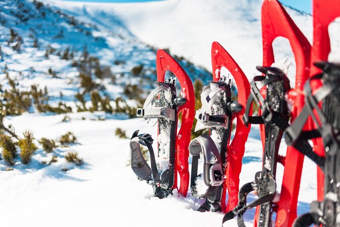 Lapland Winter Experience - Your 3-hour snowshoe route: forest snow, river views, and easy pacing