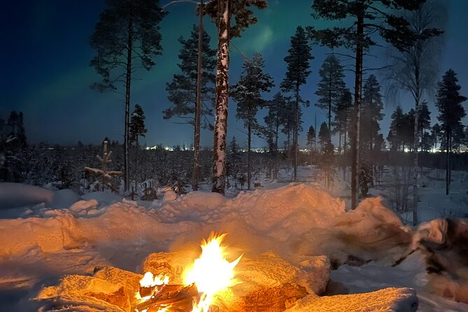 Late Night Ride with Finnhorses - The 40-minute horseback ride through the Lappish forest
