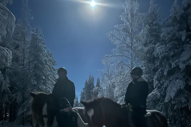 Late Night Ride with Finnhorses - What to wear and how to prepare for a night ride in Finland