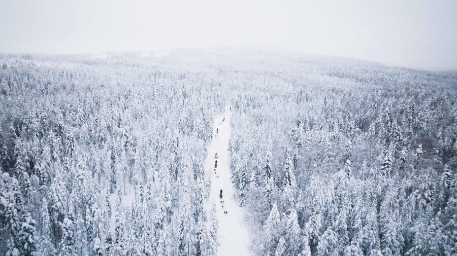 Levi: 15-Kilometres Self-Driving Husky Tour - Meeting the huskies in Levi, then learning the sled basics