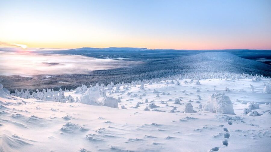 Levi: 4 Hour Snowmobile Safari to the Fells in Levi - Price and value: what $233 includes, and what to plan for