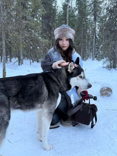 Levi: 5 Km Husky Sledding Ride in Levi - Key things to know before you go