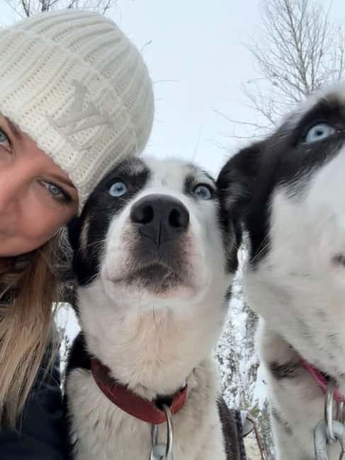 Levi: 5 Km Husky Sledding Ride in Levi - Self-driving the sled on 5 km of snow trails