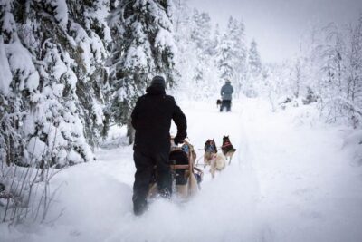 7 km Self-Drive Husky Sledding Adventure