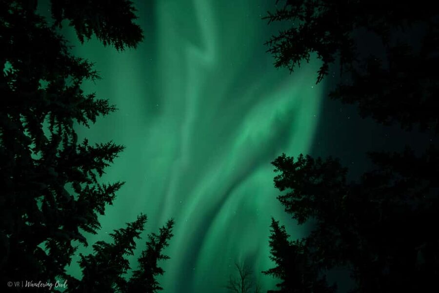LEVI Adults Only Northern Lights Hunt with Snowshoeing - Key highlights to know before you go