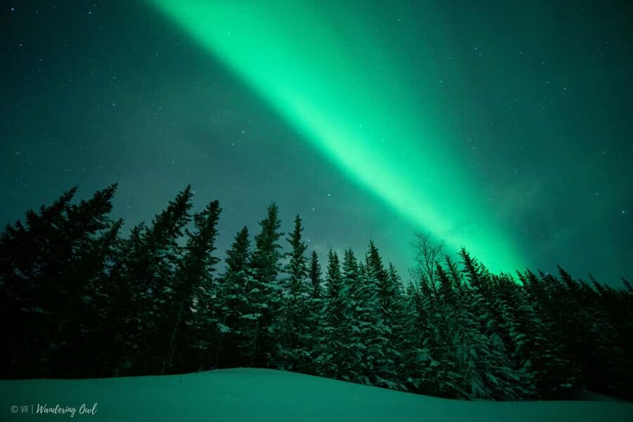 LEVI Adults Only Northern Lights Hunt with Snowshoeing - The snowshoe trek and the aurora chase plan