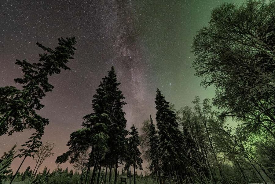 LEVI Adults Only Northern Lights Hunt with Snowshoeing - Price and value: what $259 gets you in real terms