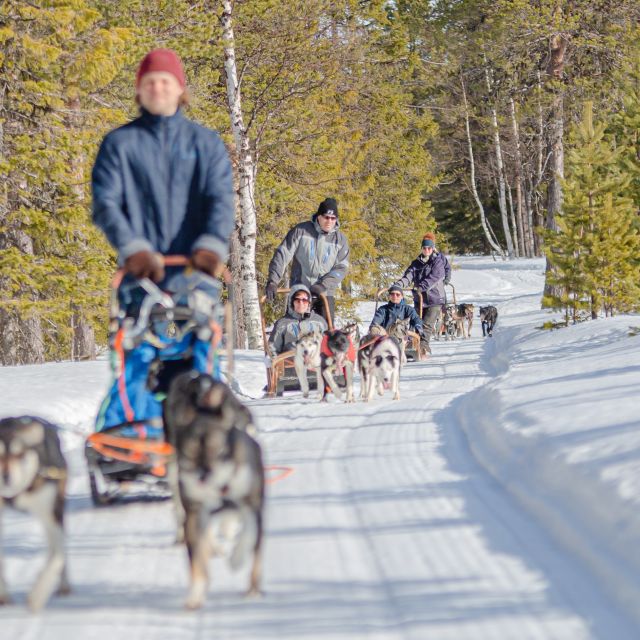 Levi: Arctic Combo – Husky & Reindeer Ride - Where You Start: Hissitie 11 Pickup and Winter Timing