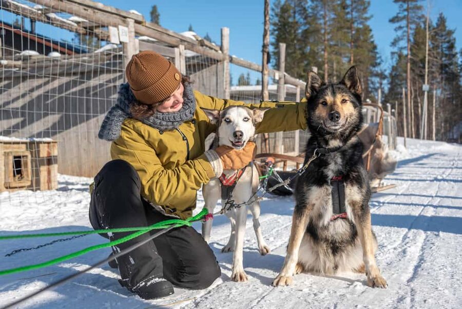 Levi: Arctic Combo – Husky & Reindeer Ride - Hot Juice and a Snack: Small, Smart Comfort