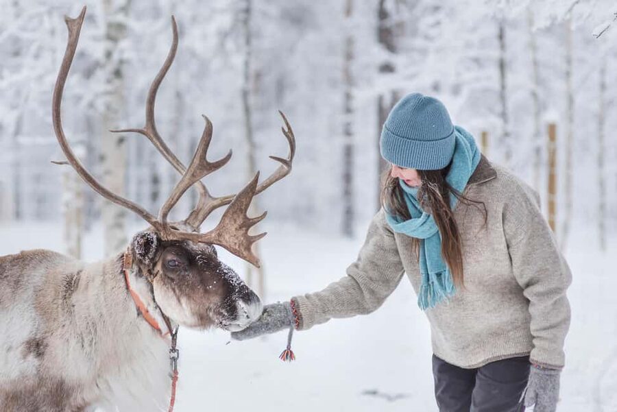 Levi: Arctic Combo – Husky & Reindeer Ride - Who This Tour Fits Best (and Who Might Want More)