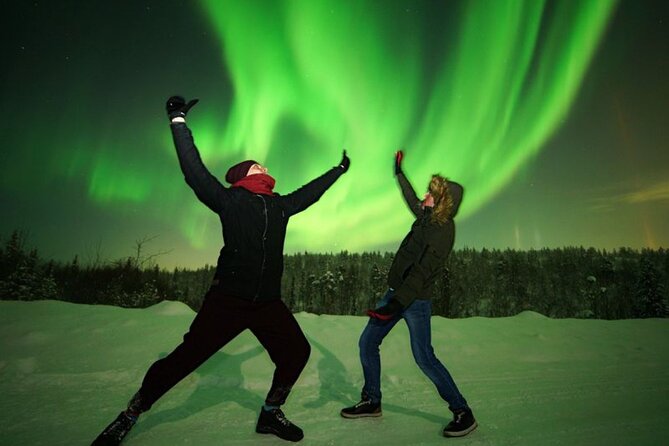 Levi: Aurora Borealis Tour and Stargazing Experience - Key highlights at a glance