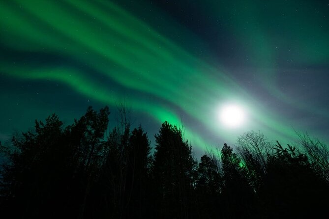 Levi: Aurora Borealis Tour and Stargazing Experience - Timing, group size, and the weather reality you should plan for