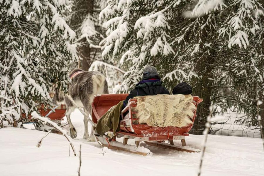 Levi: Authentic Reindeer Sled Ride with Photographer - Getting from Levi to the Reindeer Without Wasting a Morning