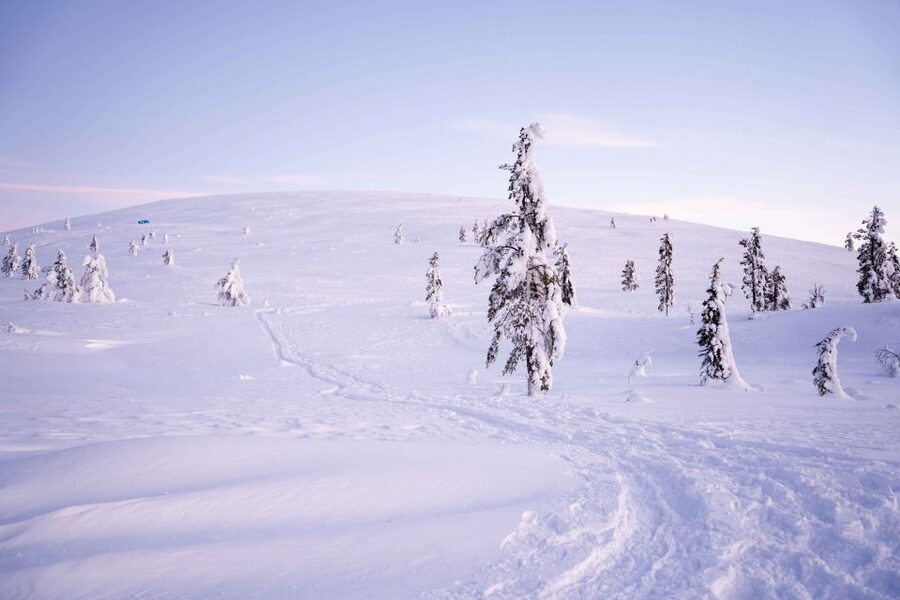 Levi: Backcountry Skiing Adventure - Getting picked up in Sirkka and heading into quieter snow