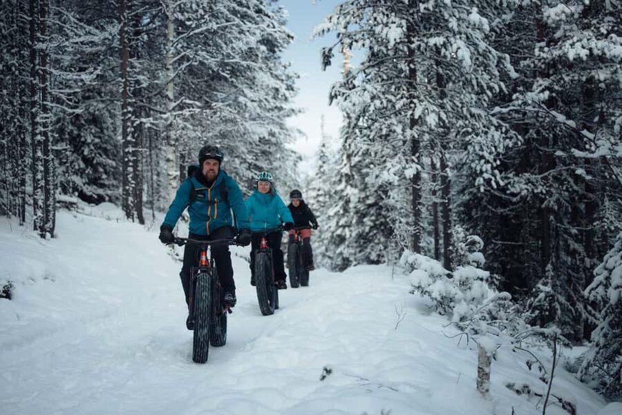Levi: E-Fatbike Adventure in Snowy Forest - Key Things You Will Notice