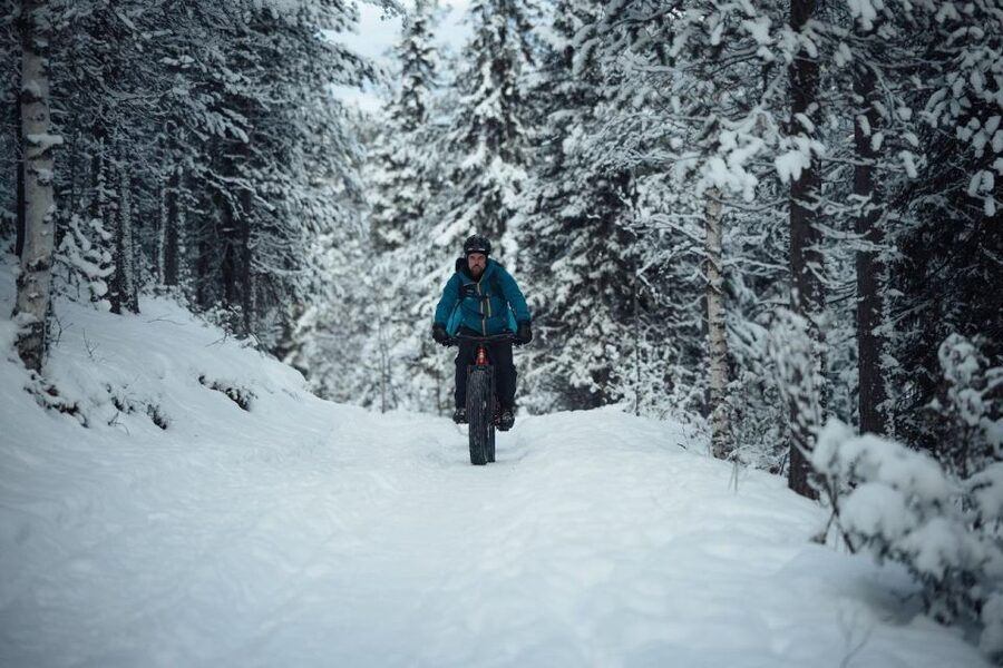 Levi: E-Fatbike Adventure in Snowy Forest - What Your Guide Adds: Lapland Nature and Winter Lifestyle Stories