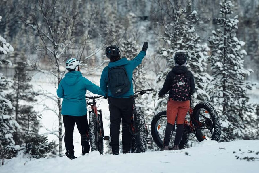Levi: E-Fatbike Adventure in Snowy Forest - Who Should Book This, and Who Might Skip It