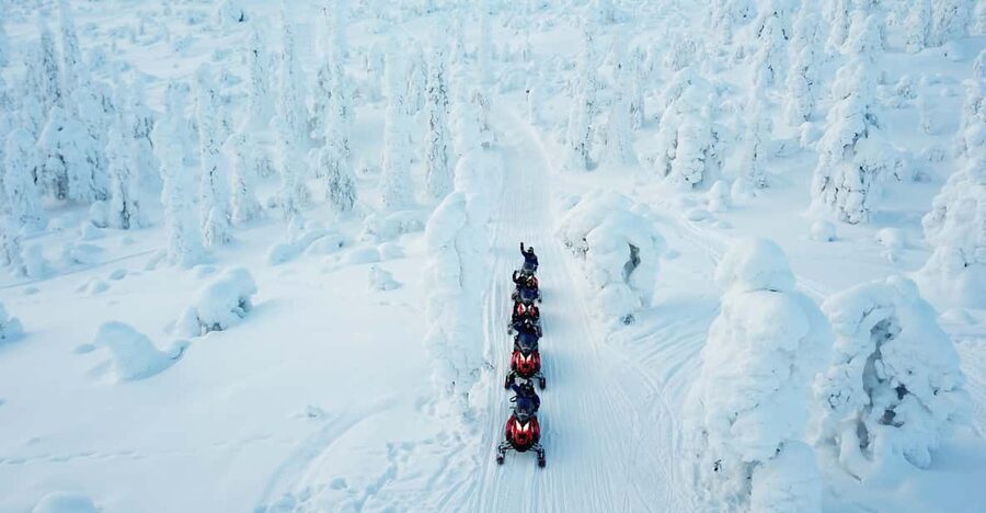 Levi: Easy Snowmobile Safari into the Nature - Is this tour worth $144? Value in winter adrenaline