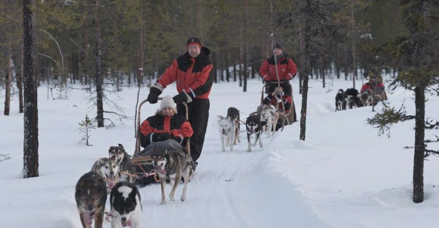 Levi: Evening Husky Sled Ride under the Northern Lights - Key moments that make this ride worth your time