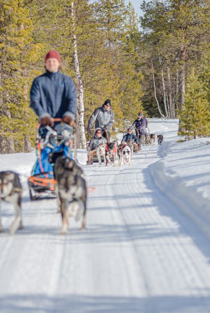 Levi: Evening Husky Sled Ride under the Northern Lights - The safety briefing that makes the ride feel calm