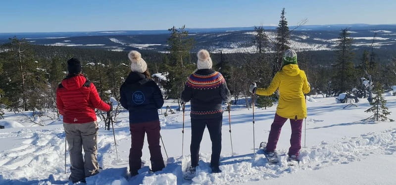 Levi: Evening Snowshoe Walk Under Northern Sky - Levi after dark: why the van transfer matters