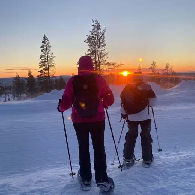 Levi: Evening Snowshoe Walk Under Northern Sky - The forest stories that make silence feel meaningful