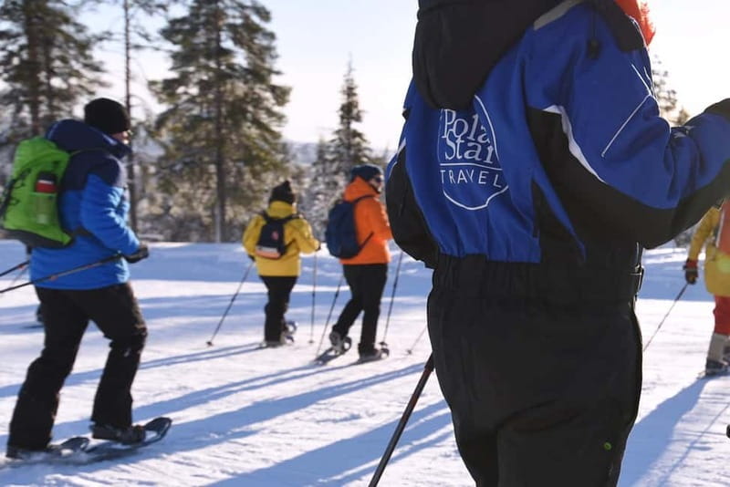 Levi: Evening Snowshoe Walk Under Northern Sky - Northern Lights: how to think about the odds