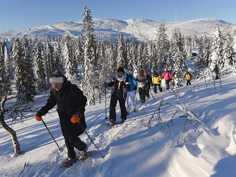 Levi: Evening Snowshoe Walk Under Northern Sky - What to wear so the night stays fun