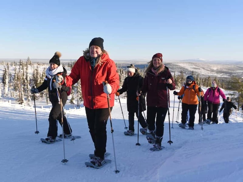 Levi: Evening Snowshoe Walk Under Northern Sky - Who this tour suits best (and who might want to skip)