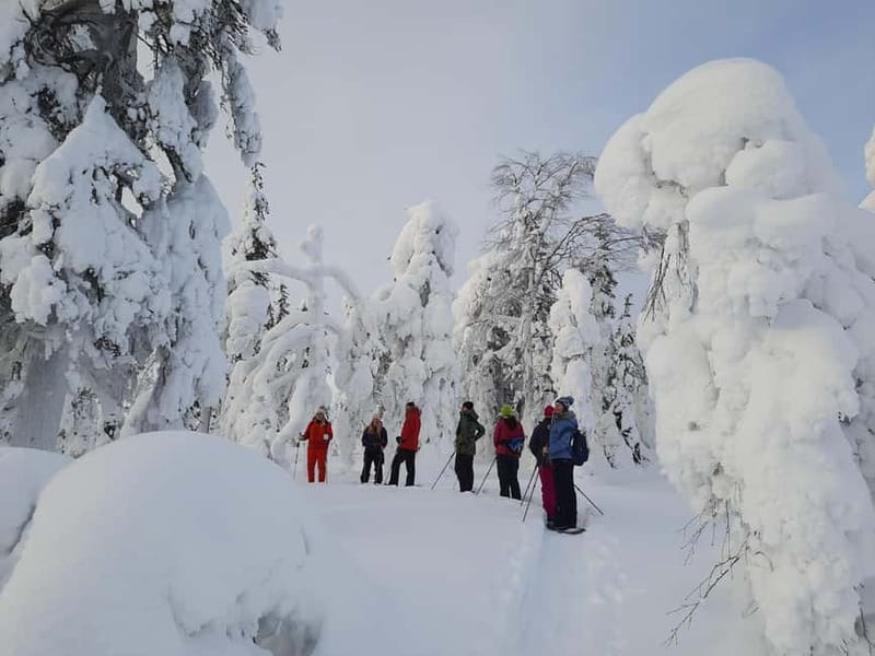 Levi: Evening Snowshoe Walk Under Northern Sky - Before you go: gear, guide, and the pace you can actually handle