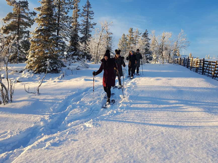 Levi: Gentle Snowshoe Walk in Winter Wilderness - Quick Highlights