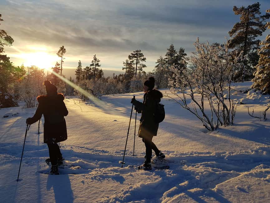 Levi: Gentle Snowshoe Walk in Winter Wilderness - Learning Snowshoe Basics: Easy Technique, Real Confidence