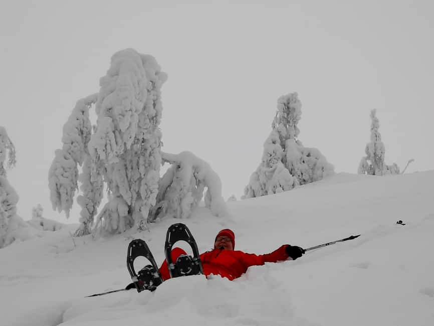 Levi: Gentle Snowshoe Walk in Winter Wilderness - Into the Arctic Forest by Kätkä Fell: What the Walk Feels Like