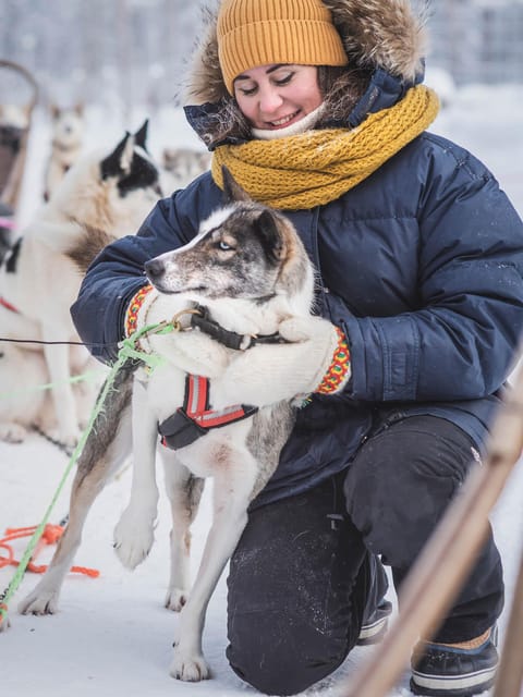 Levi: Guide-driven Husky Safari - Meeting at Hissitie 11 and Getting to the Snow