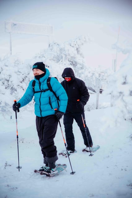 Levi: Guided Snowshoeing Adventure - Why Levi Lapland snowshoeing feels calm and doable