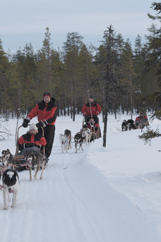 Levi: Husky Adventure Self-Drive Safari 15km - Key highlights worth your attention