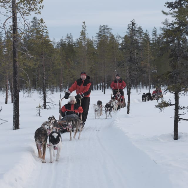 Levi: Husky Adventure Self-Drive Safari 15km - Start at Levi Center Hissitie 11, then head to the family farm