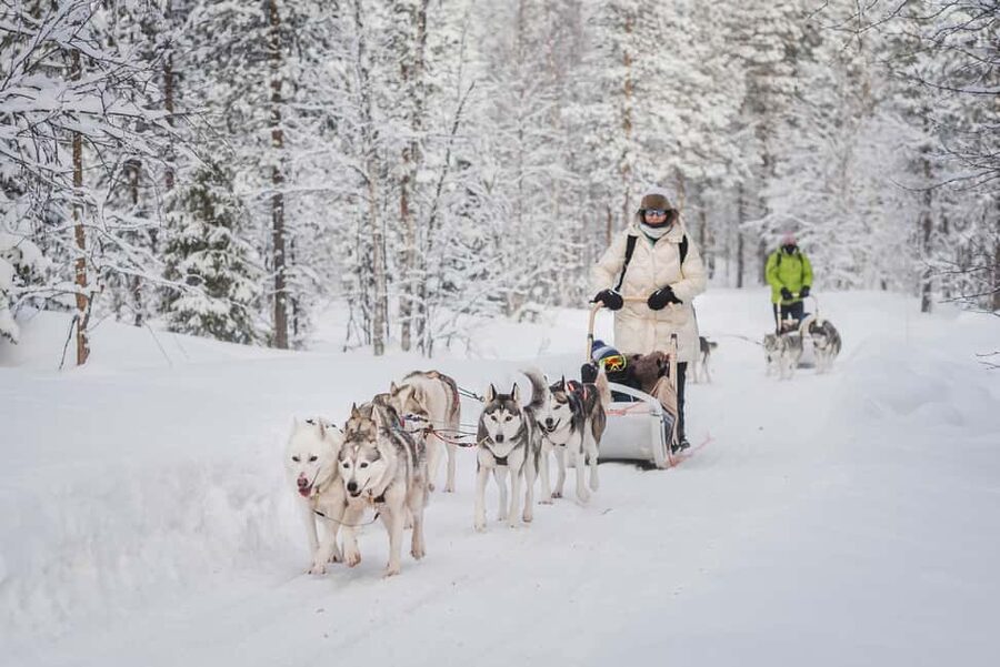 Levi: Husky Adventure Self-Drive Safari 15km - The 15-18 km Levi husky safari: two to a team, guided but hands-on