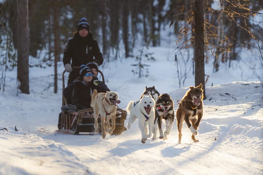 Levi: Husky Adventure Self-Drive Safari 15km - Safety briefing that makes self-driving feel doable
