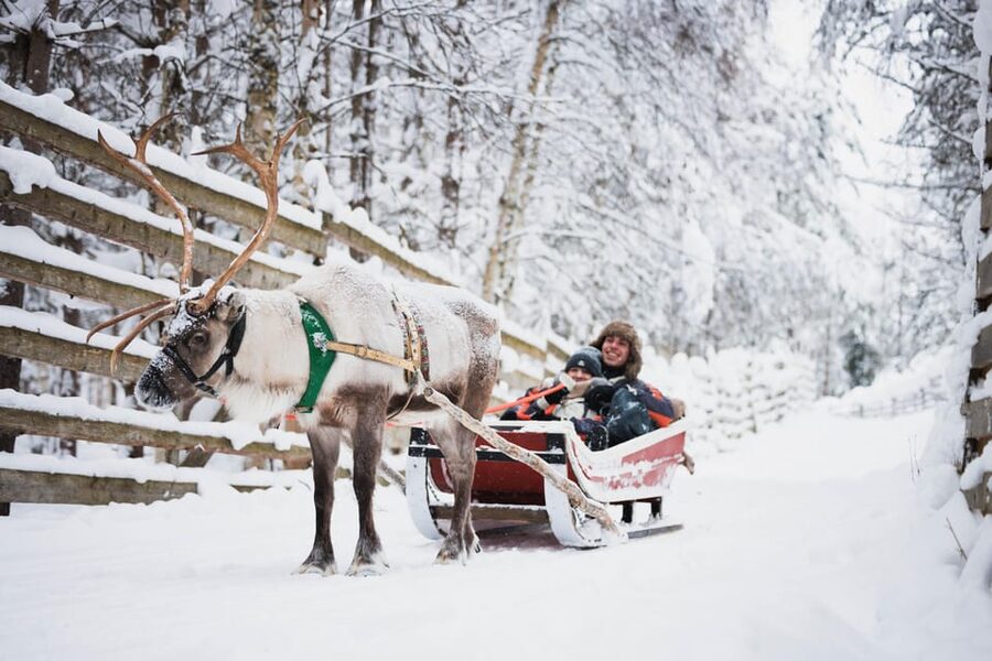 Levi: Husky and Reindeer Farm Visit with Snowmobiling - Quick hits: what you really get